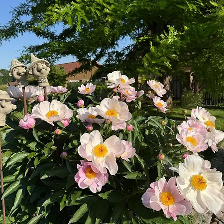 In Der Thermenregion